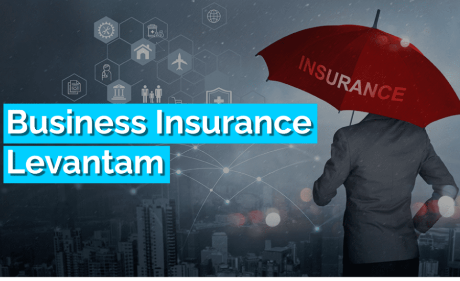 Challenges And Solutions In Implementing Levantam Insurance