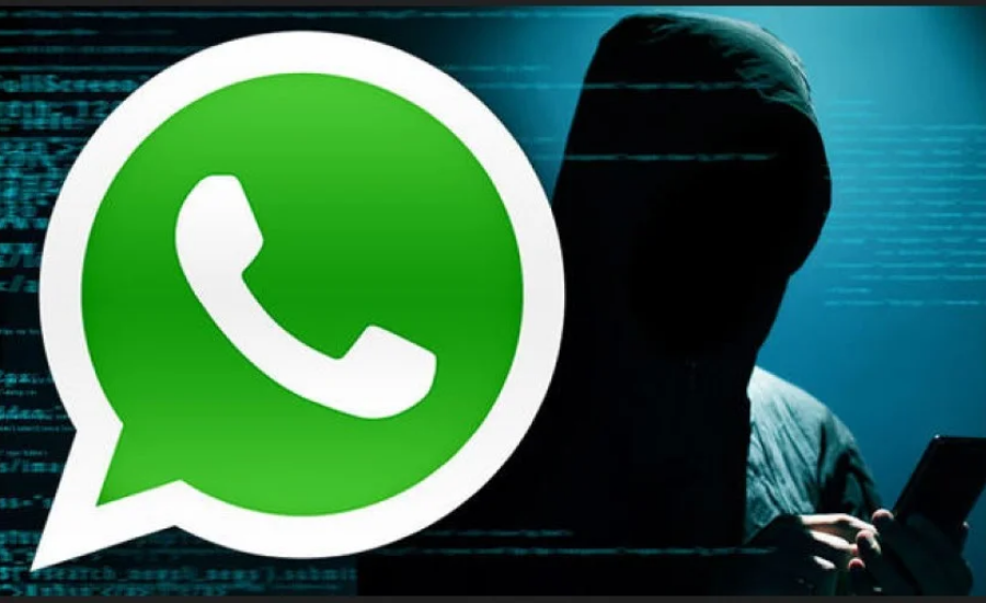 Key Features Of WhatsApp LogicalShout