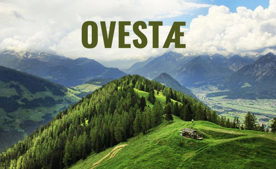 The Core Principles Of Ovestæ