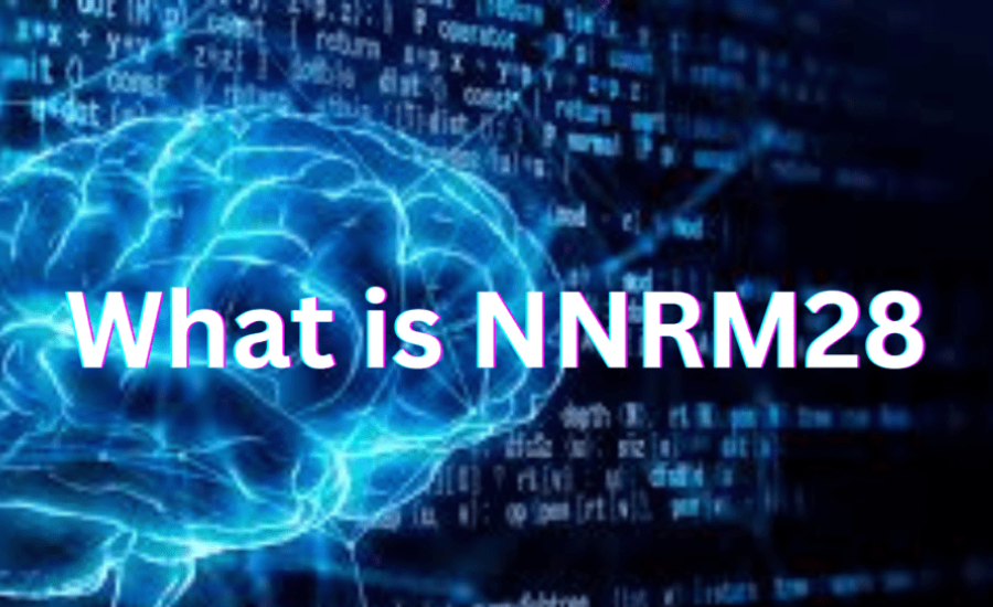 What Is Nnrm28? 