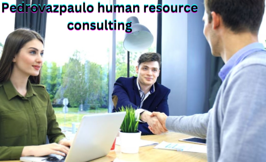 Services Provided By Pedrovazpaulo Human Resource Consulting