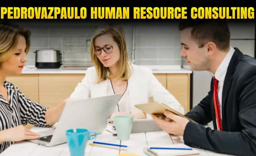 Success Stories From Pedrovazpaulo Human Resource Consulting