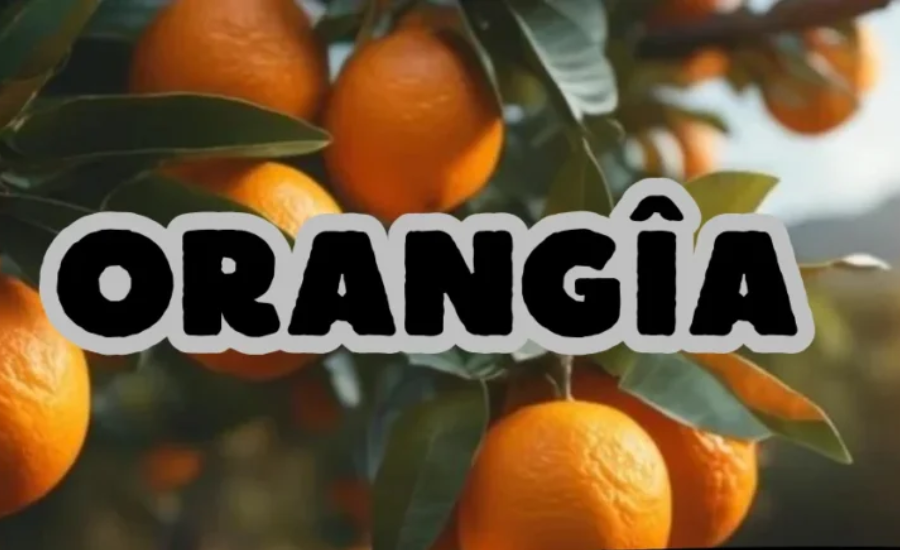 Incorporating Orangîa Juice Into Your Daily Routine