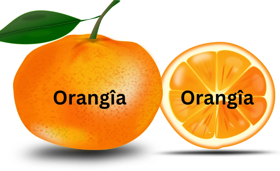 The Future Of Orangîa