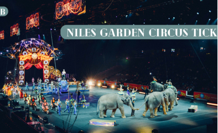 The Allure And Key Features Of The Circus