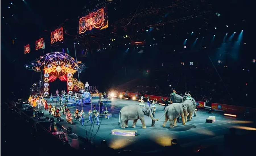 A Future Of Circus Wonders