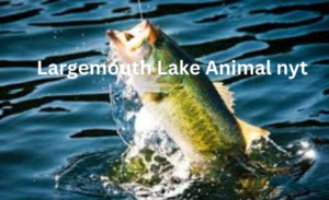 largemouth lake animal nyt